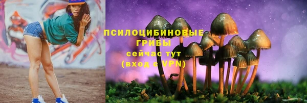 герыч Каменск-Шахтинский