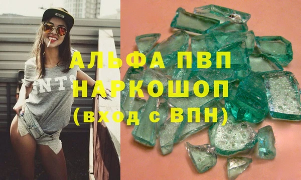гашик Тихвин