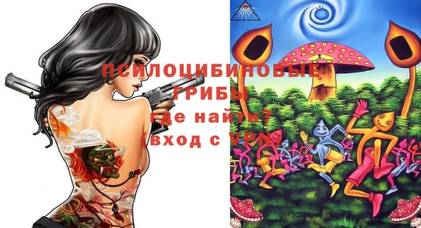 гашик Тихвин