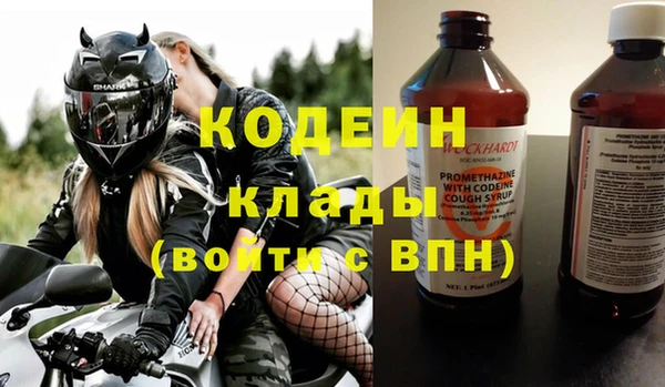 амф Каменка