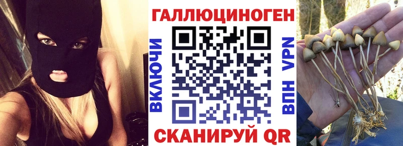 Псилоцибиновые грибы прущие грибы  omg вход  Михайлов 